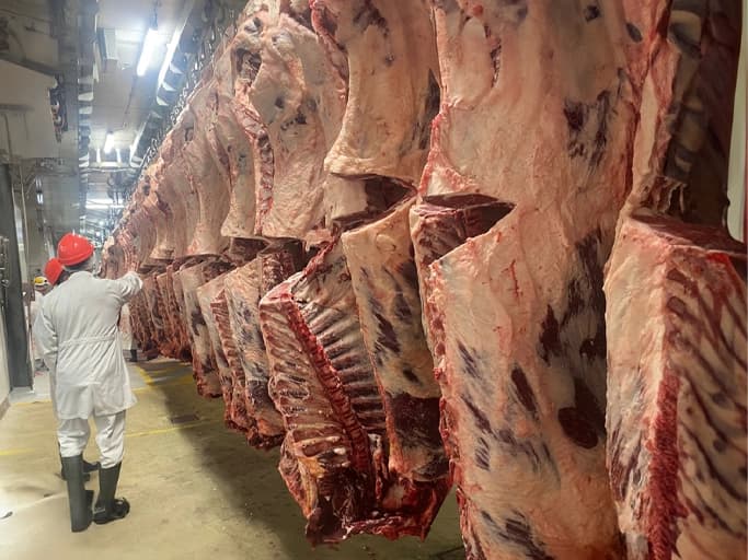 Abattoirs